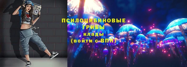 прущие грибы Алексин