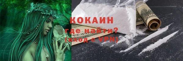 прущие грибы Алексин
