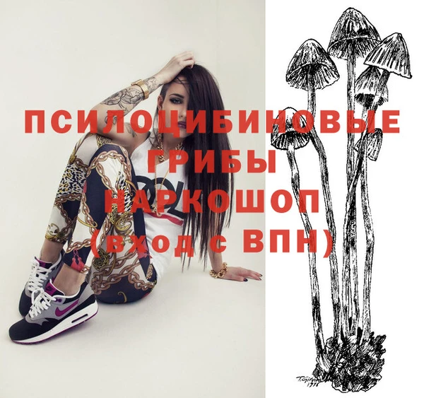 прущие грибы Алексин