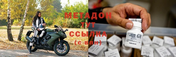 прущие грибы Алексин